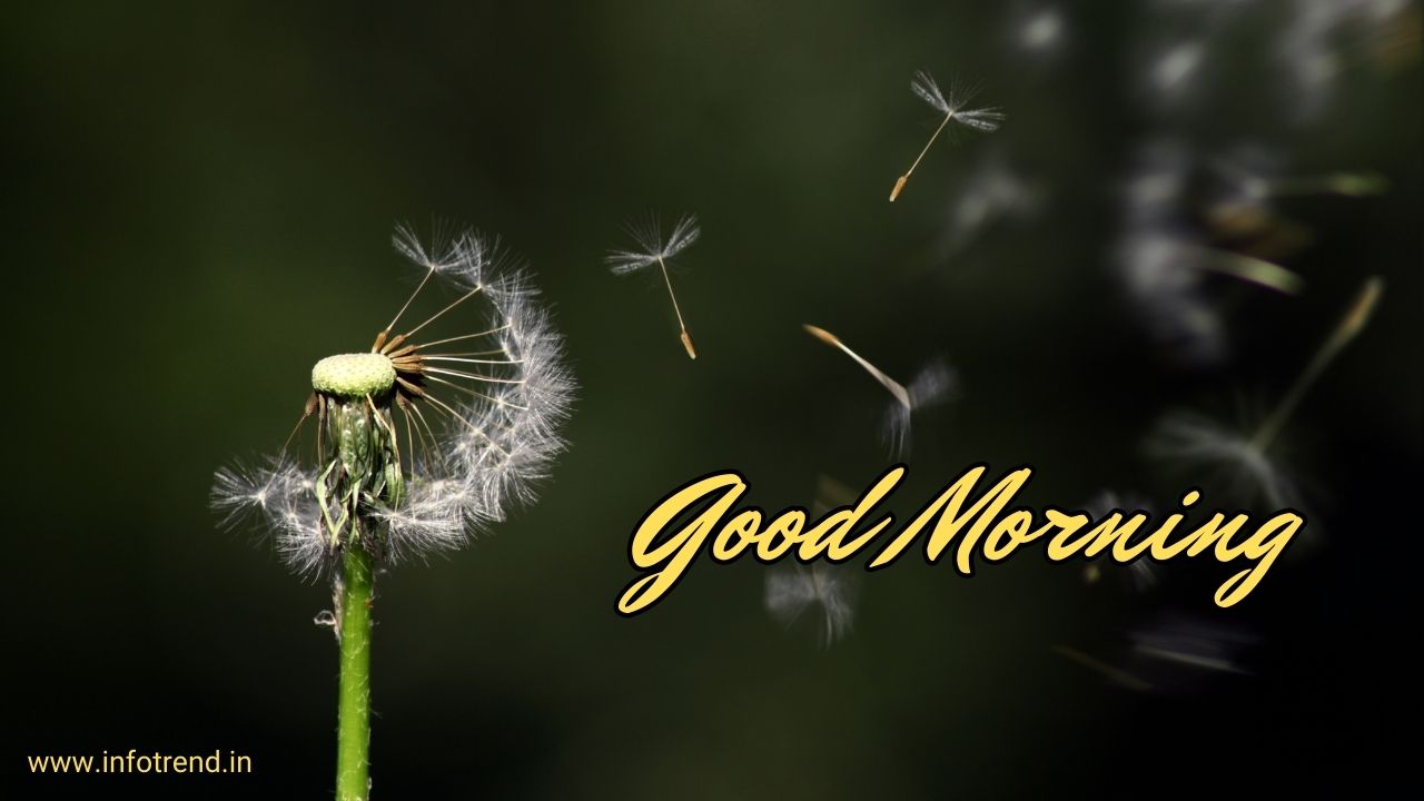 Good Morning kannada