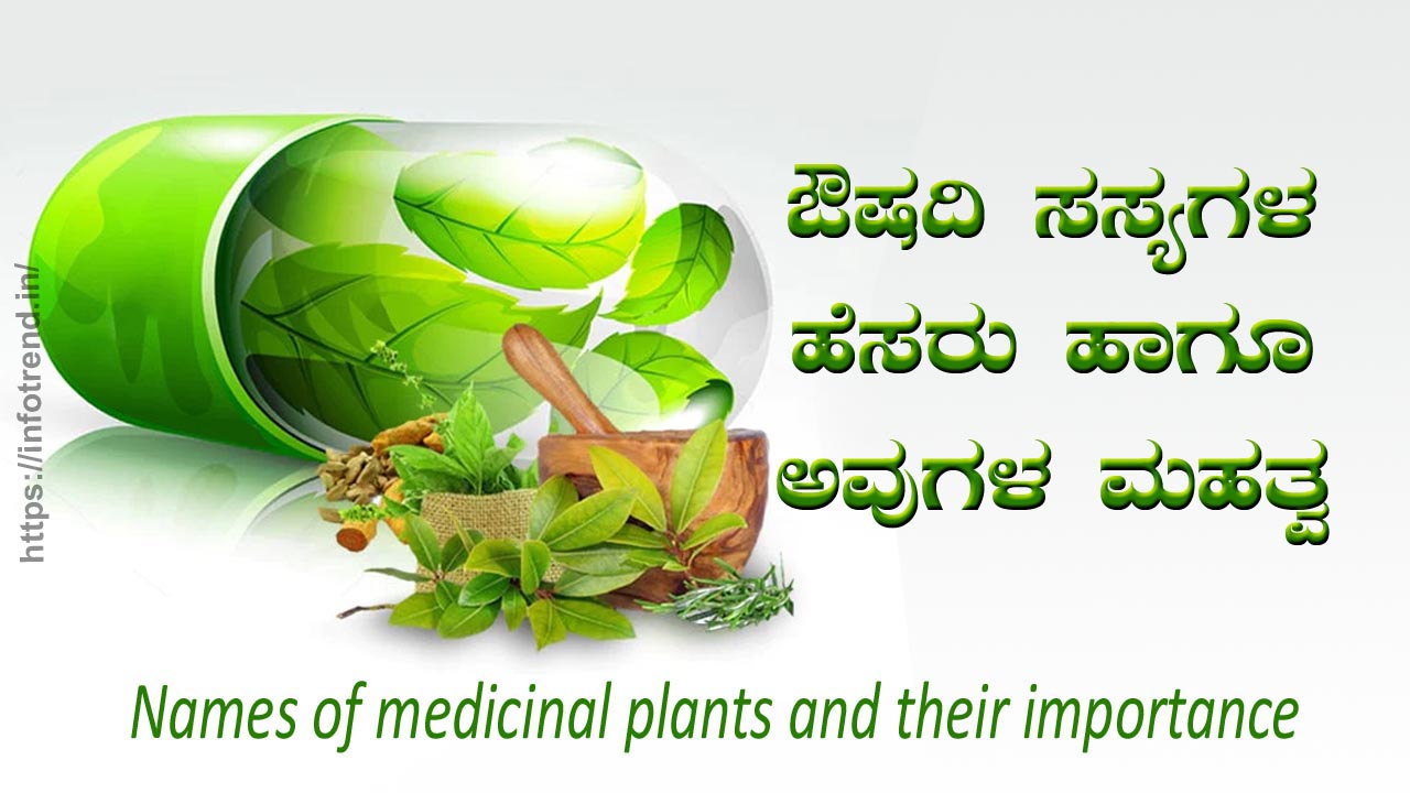 ಔಷಧಿ ಸಸ್ಯಗಳು ಹೆಸರು ಮತ್ತು ಉಪಯೋಗ