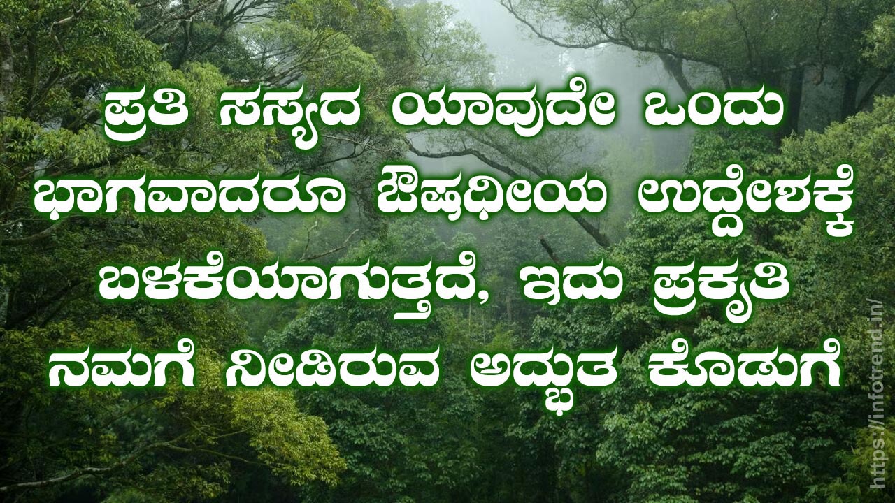 ಔಷಧಿ ಸಸ್ಯಗಳು ಹೆಸರು ಮತ್ತು ಉಪಯೋಗ