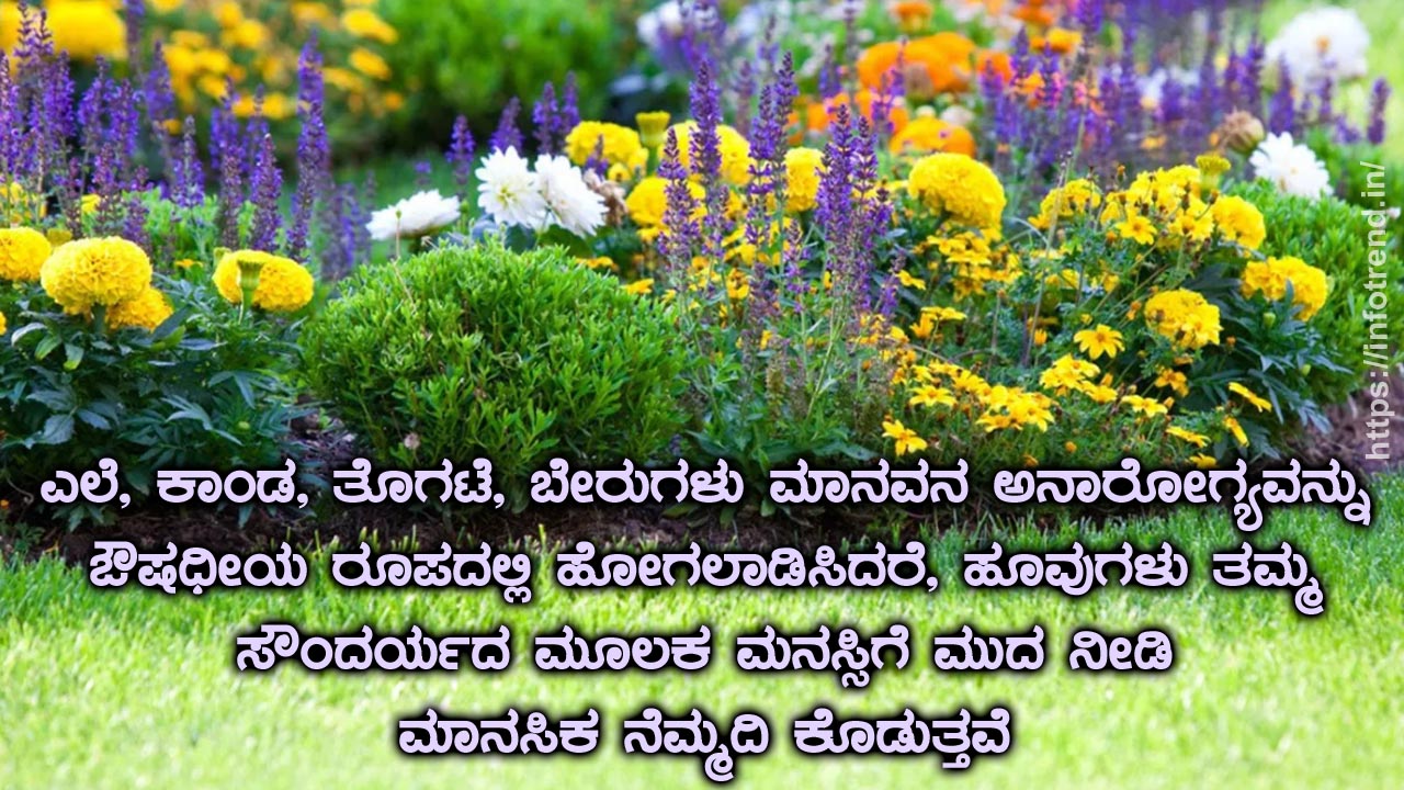 ಔಷಧಿ ಸಸ್ಯಗಳು ಹೆಸರು ಮತ್ತು ಉಪಯೋಗ