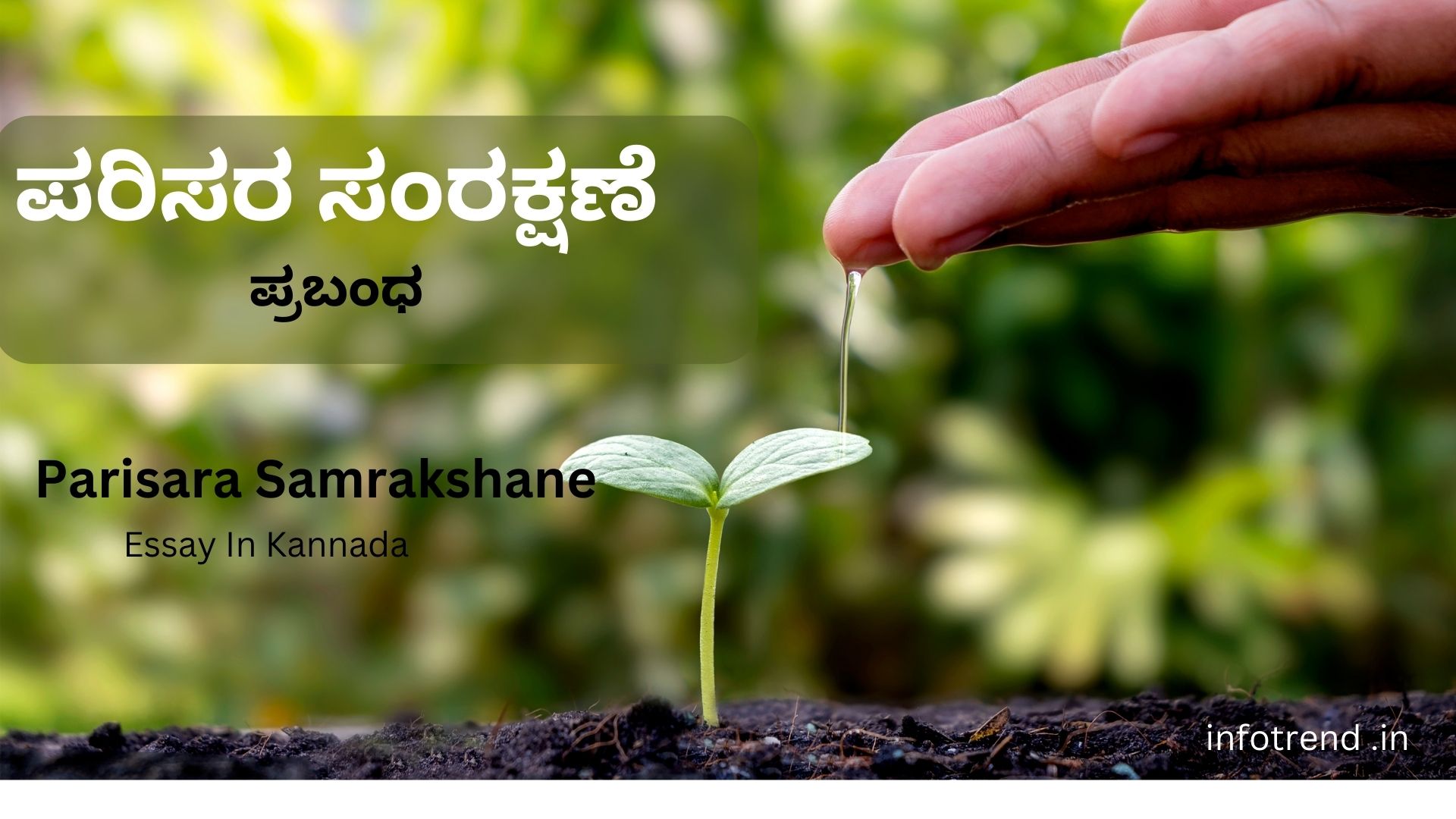 Parisara Samrakshane Essay In Kannada
