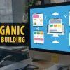 Scale Your SEO